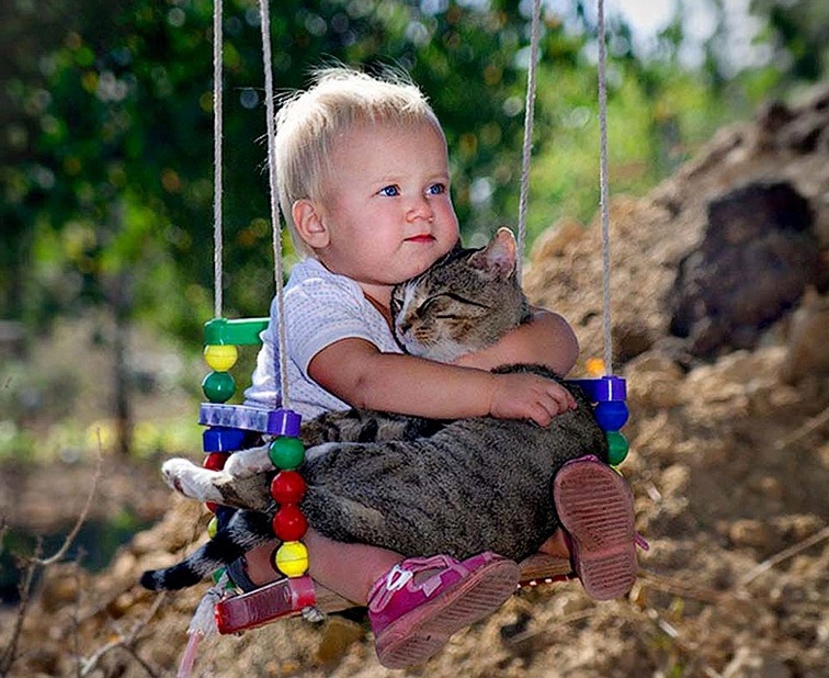 дети и животные, нужно ли заводить котенка, если ребенок просит котенка
